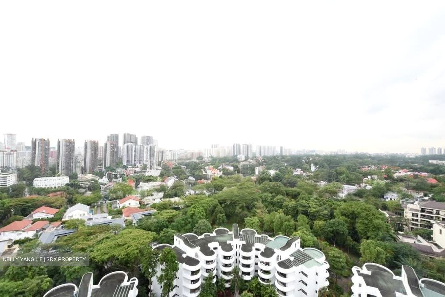 Regency Park (D10), Condominium #534613451